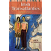 Irish Transatlantics, 1980-2015