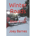 Winter Roads: Blew it Up