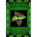 Sage Spirit - Salvia Divinorum and the Entheogenic Experience