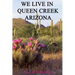 We Live In Queen Creek Arizona: If it were not for the Mafia we would most likely not have moved to Queen Creek