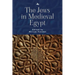 The Jews in Medieval Egypt