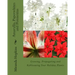 Amaryllis, Paperwhites and Poinsettias: Growing, Propagating and Reblooming Your Holiday Plants