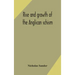 Rise and growth of the Anglican schism