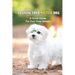 Training Your Maltese Dog: A Quick Guide For First-Time Owners: Maltese Breed Characteristic