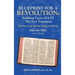 Blueprint for a Revolution: Building Upon All of the New Testament - Volume Two: (What Your Church Should Be Teaching and Building)