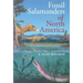 Fossil Salamanders of North America