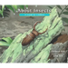 About Insects: A Guide for Children