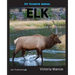 My Favorite Animal: Elk