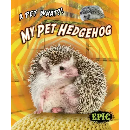 My Pet Hedgehog
