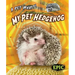 My Pet Hedgehog