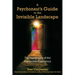 A Psychonaut's Guide to the Invisible Landscape: The Topography of the Psychedelic Experience