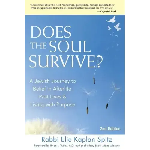 Does the Soul Survive? (2nd Edition): A Jewish Journey to Belief in Afterlife, Past Lives & Living with Purpose