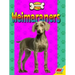 Weimaraners