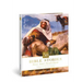 50 Bible Stories Every Adult Should Know: Volume 2: New Testament Volume 2