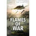 Flames of War: A Vietnam War Novel