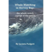 Whale Watching in Hervey Bay: the whale watch capital of the world