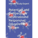 Potentials and Perspectives of Ultrasound Responsive Drug Delivery System