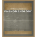 Introduction to Phenomenology