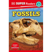 DK Super Readers Level 3 Fossils