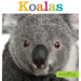 Seedlings: Koalas