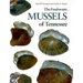 Freshwater Mussels of Tennessee