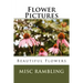 Flower Pictures: Flowers Photos