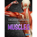 Understanding Our Muscles