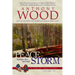Peace Before the Second Storm: A Story of the Civil War