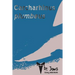 Carcharhinus plumbeus