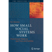 How Small Social Systems Work: From Soccer Teams to Jazz Trios and Families