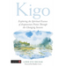 Kigo: Exploring the Spiritual Essence of Acupuncture Points Through the Changing Seasons