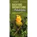 Backyard Birdwatching in Philadelphia