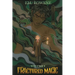 Fractured Magic