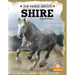 Shire