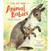 Find Out about Animal Babies