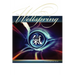 The Wellspring: An Inquiry into the Nature of Chi