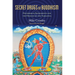 Secret Drugs of Buddhism: Psychedelic Sacraments and the Origins of the Vajrayana