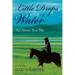 Little Drops of Water: An Almost True Tale
