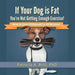 If Your Dog Is Fat You're Not Getting Enough Exercise!: How to Lose 15 Pounds in 30 Minutes