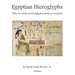 Egyptian Hieroglyphs: Why the study of Egyptian hieroglyphs needs an overhaul
