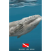 Diver's Log Book: scuba diving log book 100 dives