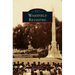 Wakefield Revisited