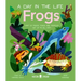 Frogs (a Day in the Life): What Do Frogs, Toads, and Tadpoles Get Up to All Day?