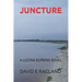 Juncture: A Lucena Burning Novel