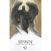 Spawn: Origins Volume 13