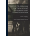 Statues of Abraham Lincoln. Mount Rushmore and Stone Mountain; Sculptors - B Borglum 2
