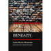 The Brilliance Beneath: The Power of Perspective in Urban Schools
