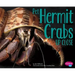 Pet Hermit Crabs Up Close