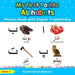 My First Pashto Alphabets Picture Book with English Translations: Bilingual Early Learning & Easy Teaching Pashto Books for Kids