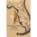 Florida Fossils: Mollusks